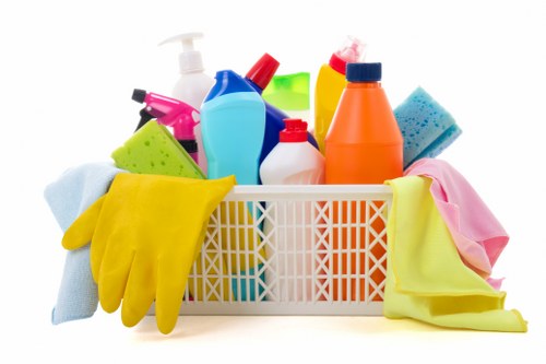 Estimator reviewing a large cleanout job for a free quote