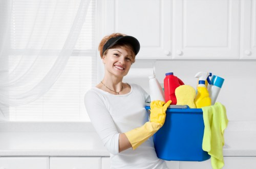 Pet stain odour removal tips for carpets and fresh home cleaning