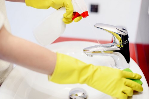 Stain removal tools and cleaning supplies ready for use