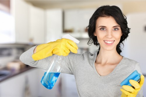 DIY pet stain odour removal products and cleaning supplies