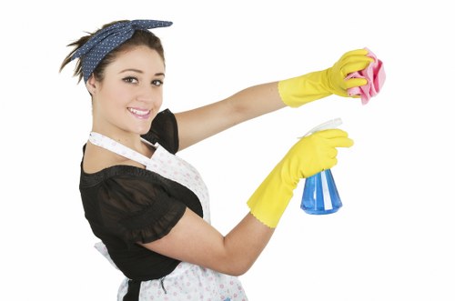 Carpet cleaning machine removing dirt and moisture