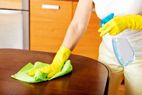 Deep cleaning service for a large rug